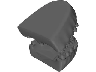 Teeth 3D Model