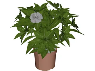 Potted Plant 3D Model