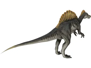 Spinosaurus 3D Model