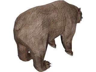 Brown Bear 3D Model