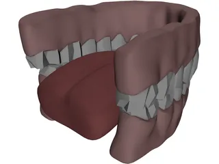 Gums Teeth Tongue 3D Model