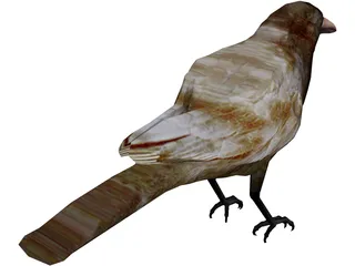 Bangor Crow 3D Model