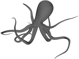 Octopus 3D Model