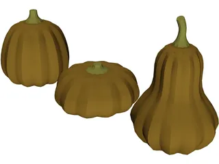 Squash 3D Model