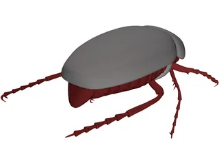 Bug (Meikever In Dutch) 3D Model