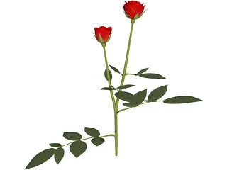 Red Rose 3D Model