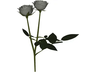 White Rose 3D Model