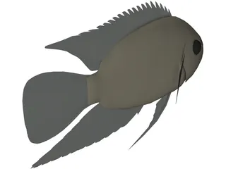 Cichlid 3D Model