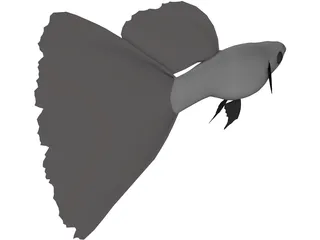 Guppy 3D Model