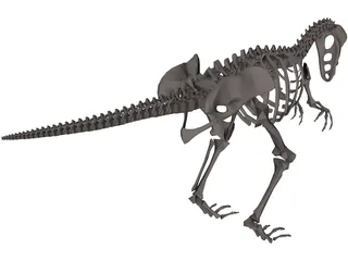 Dinosaur Skeleton 3D Model