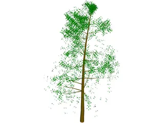 Tree Big 3D Model