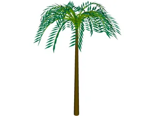 Tree Palm Tropical 3D Model