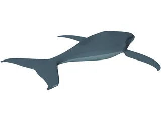 Whale Funny 3D Model