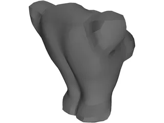 Torso Female Busty 3D Model