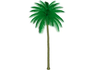 Palm Tree 3D Model