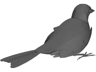 Black Bird 3D Model