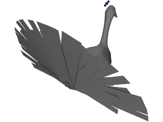 Peacock 3D Model