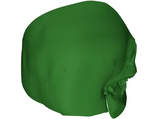 Skull 3D Model