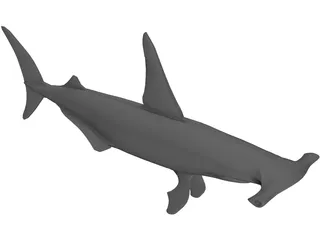 Shark 3D Model