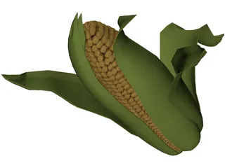 Corn 3D Model