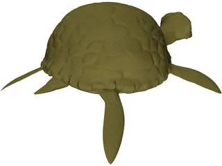 Cartoon Turtle 3D Model