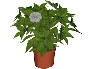 Plant 3D Model