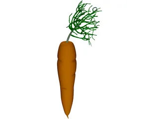 Carrot 3D Model