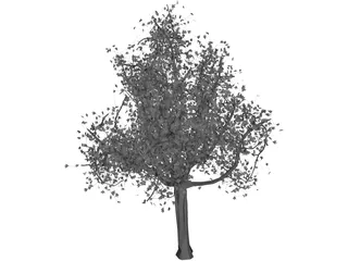 Tree 3D Model