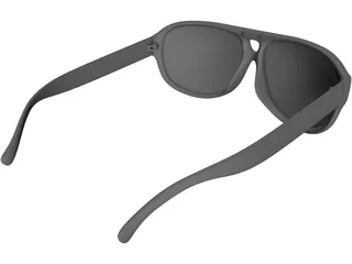 Polaroid Sunglasses 3D Model