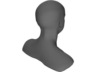 Head 3D Model