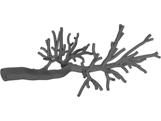 Bronchial Tree Human 3D Model