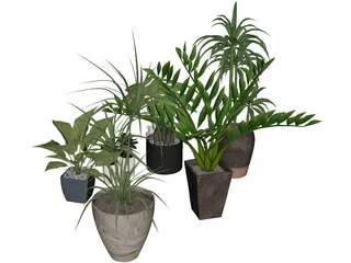 House Plant Collection 3D Model