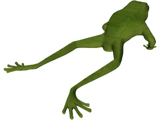 Frog 3D Model