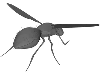 Fly 3D Model