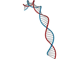 DNA 3D Model