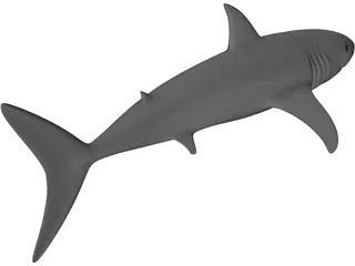 Shark White 3D Model