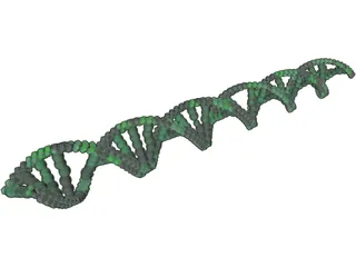 DNA 3D Model