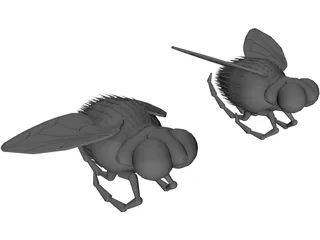 Fly 3D Model