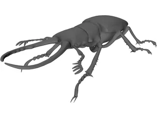 Stag Beetle 3D Model