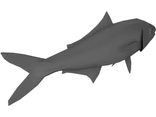 Full Fish 3D Model