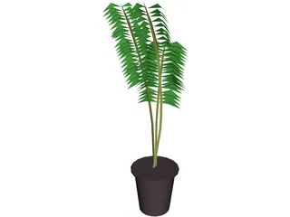 Potted Fern 3D Model