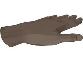 Hand 3D Model