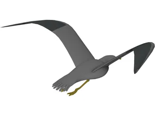 Seagull Flying 3D Model