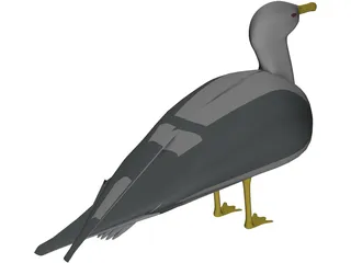 Seagull Standing 3D Model