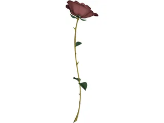 Red Rose 3D Model