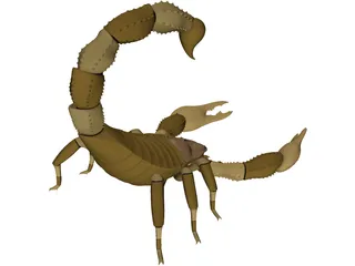 Scorpion - Buthidae Family - Hottentotta Species 3D Model