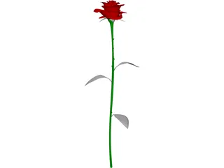 Rose 3D Model