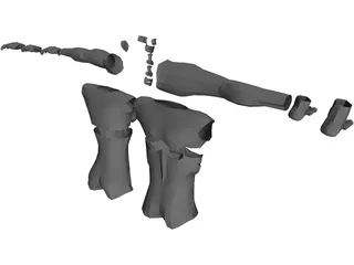 Modular Body Parts 3D Model