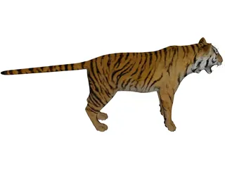 Bengal Tiger 3D Model - 3DCADBrowser