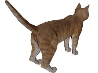 Cat 3D Model